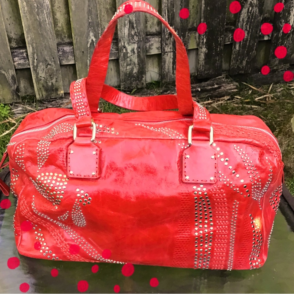 🎉6X HOST PICK🎉 Frances Cobiasia bag